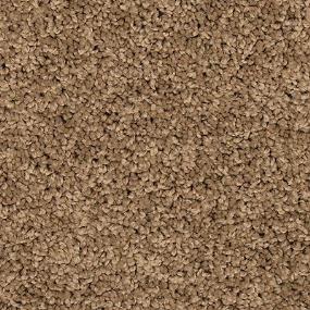 Textured Saxony Tibirius Beige/Tan Carpet