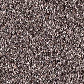 Textured Saxony Wrought Iron Gray Carpet