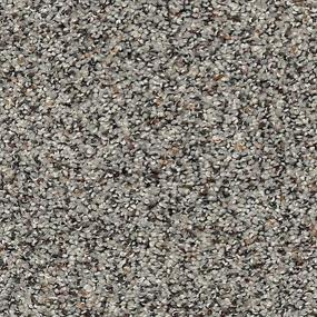 Textured Saxony Pristine Brown Carpet