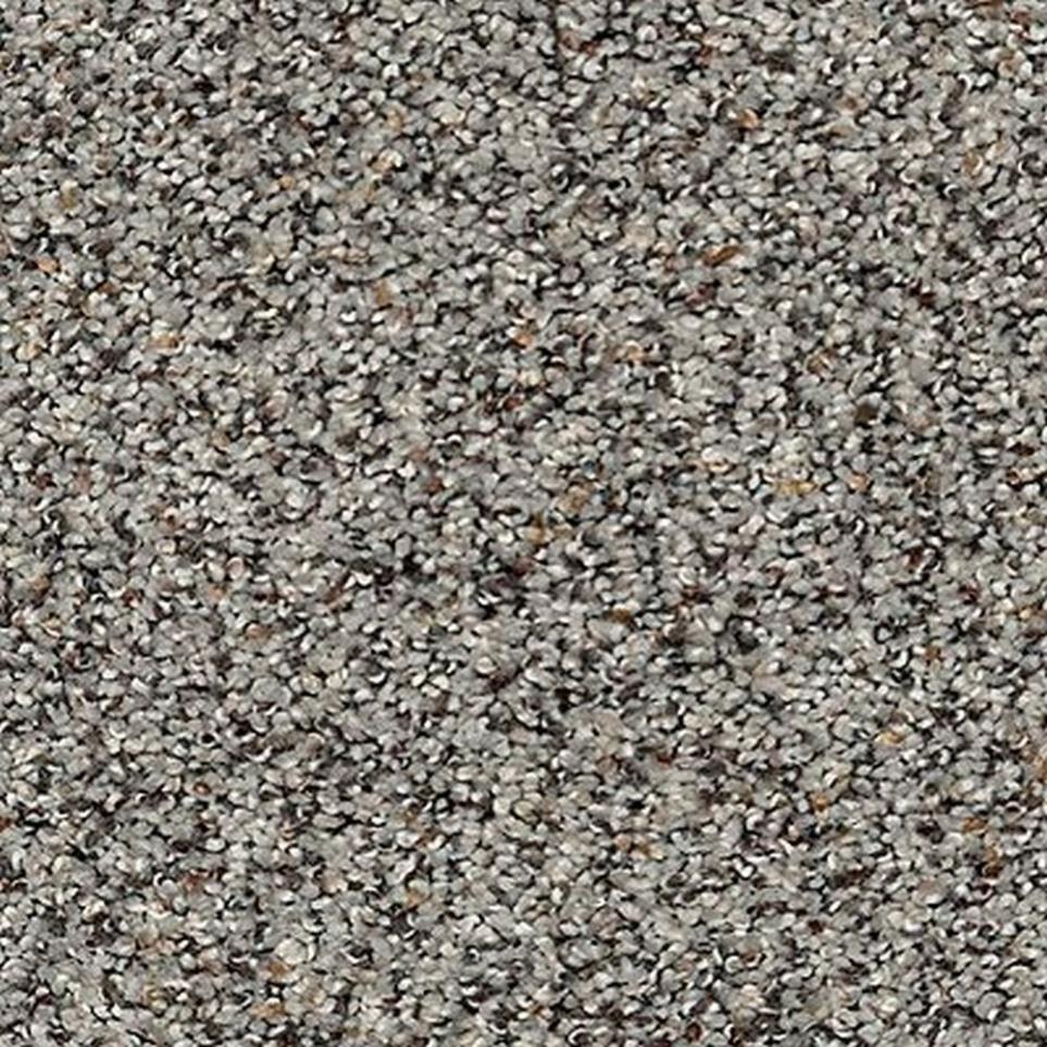 Textured Saxony Pristine Brown Carpet