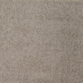 Pattern Shadow Brown Carpet