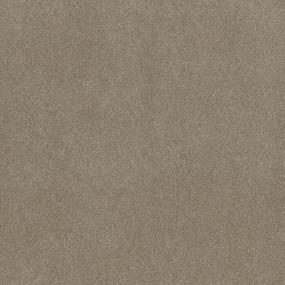 Textured Saxony Outreach Beige/Tan Carpet