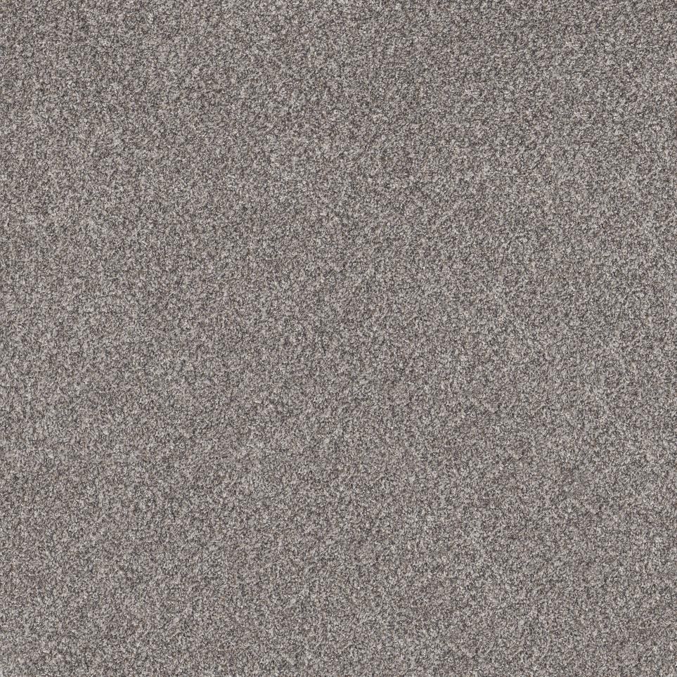 Texture Secret Escape Gray Carpet