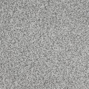 Textured Saxony Finesse Gray Carpet