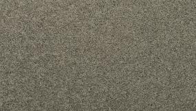 Texture Dove Gray Gray Carpet