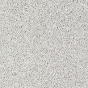 Textured Saxony London Fog Gray Carpet