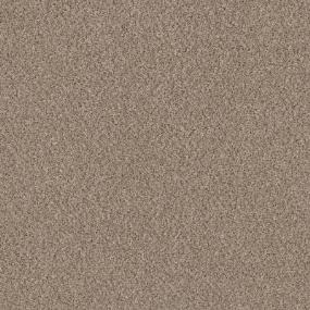 Texture Ambiance Beige/Tan Carpet
