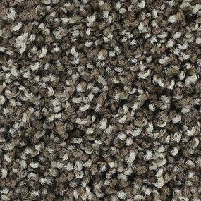 Textured Saxony Truffle Brown Carpet