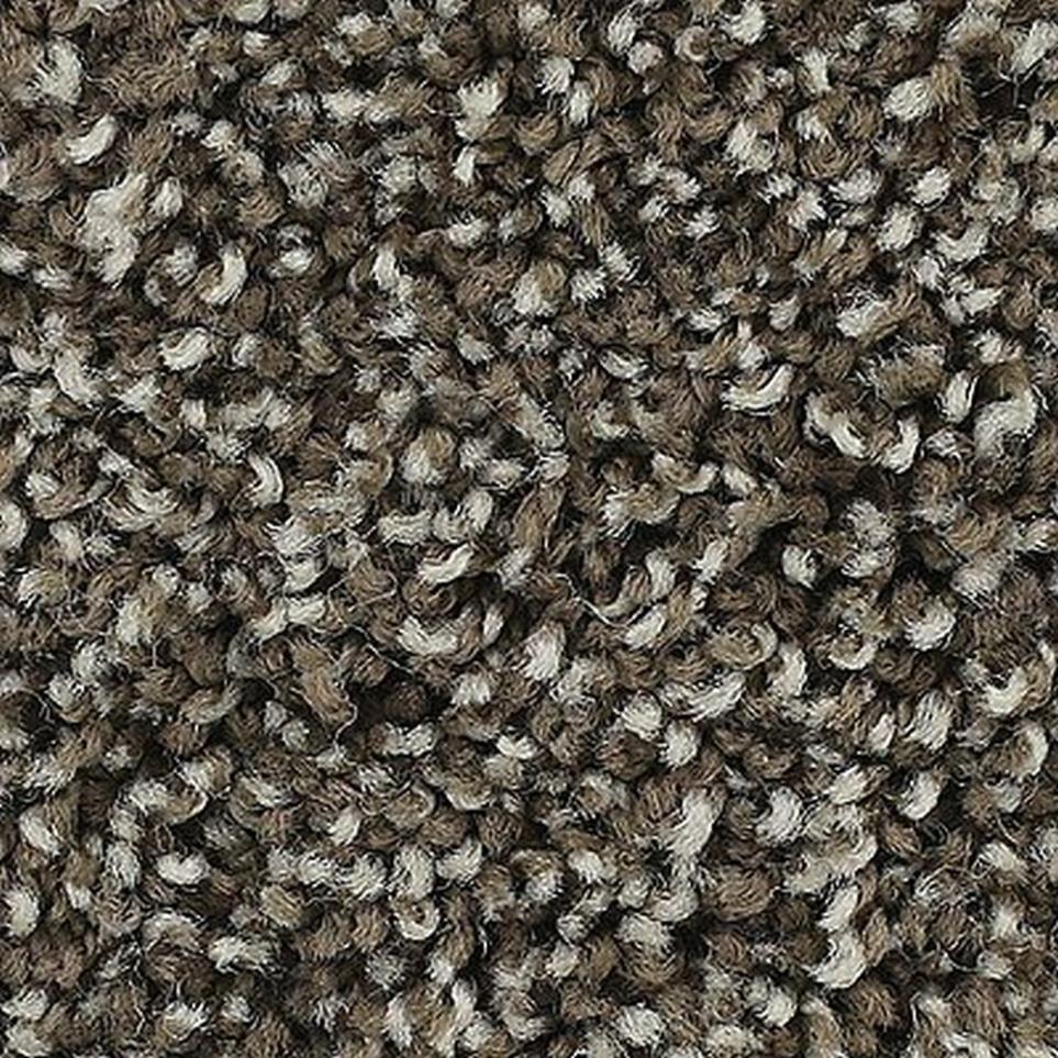 Textured Saxony Truffle Brown Carpet