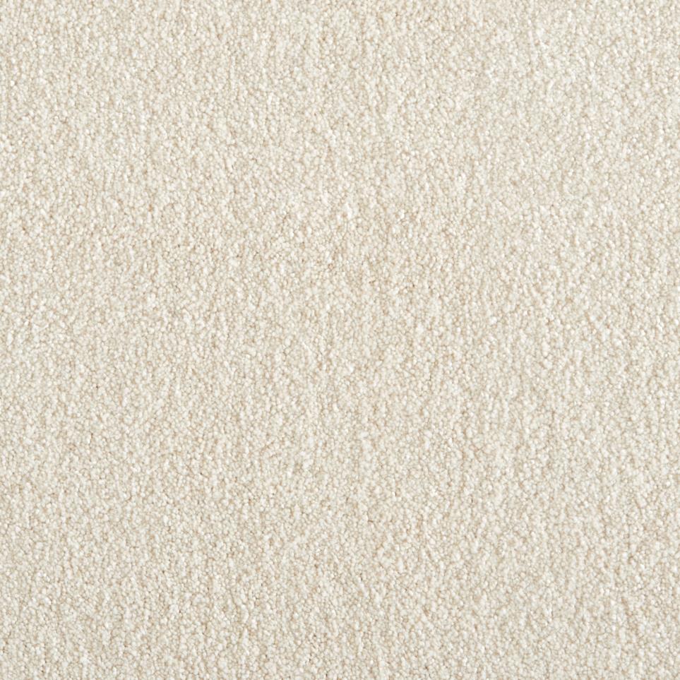 Plush Antique White Carpet