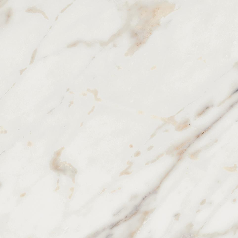 Tile Golden Reverie Polished White Tile