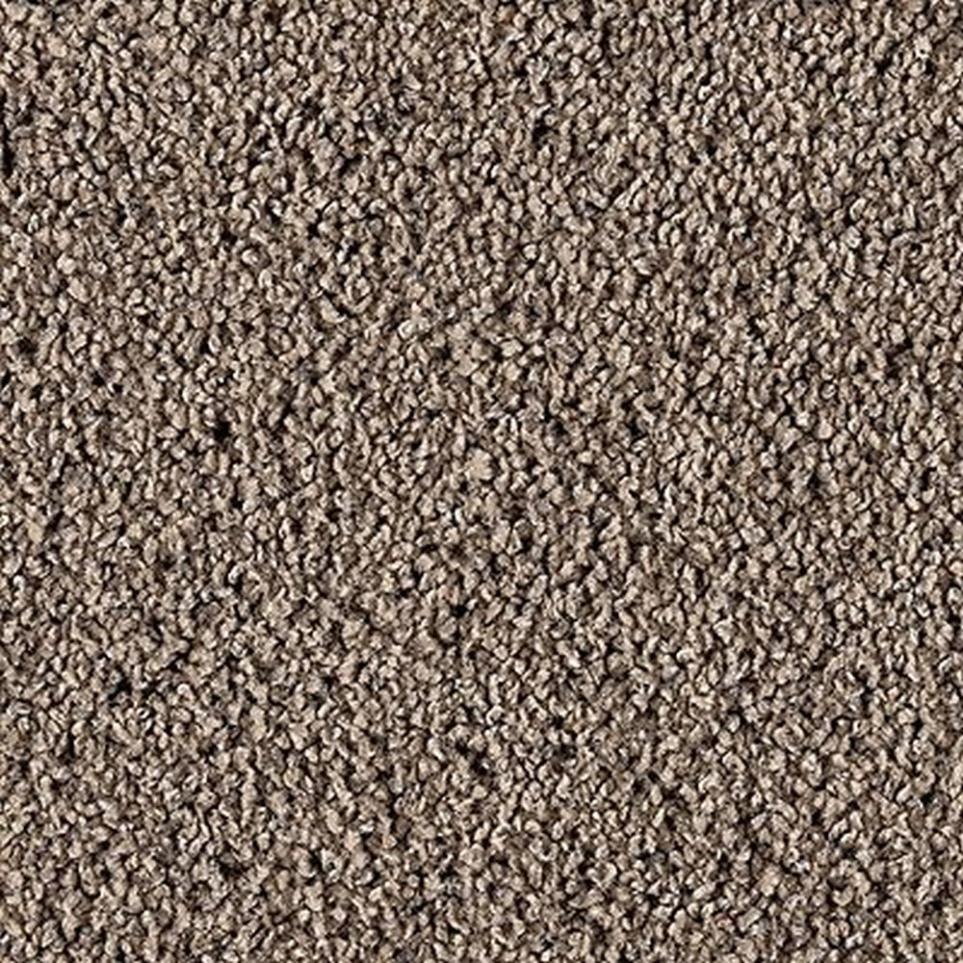 Textured Saxony Urbane Brown Carpet