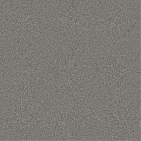 Textured Saxony Aspen Gray Carpet