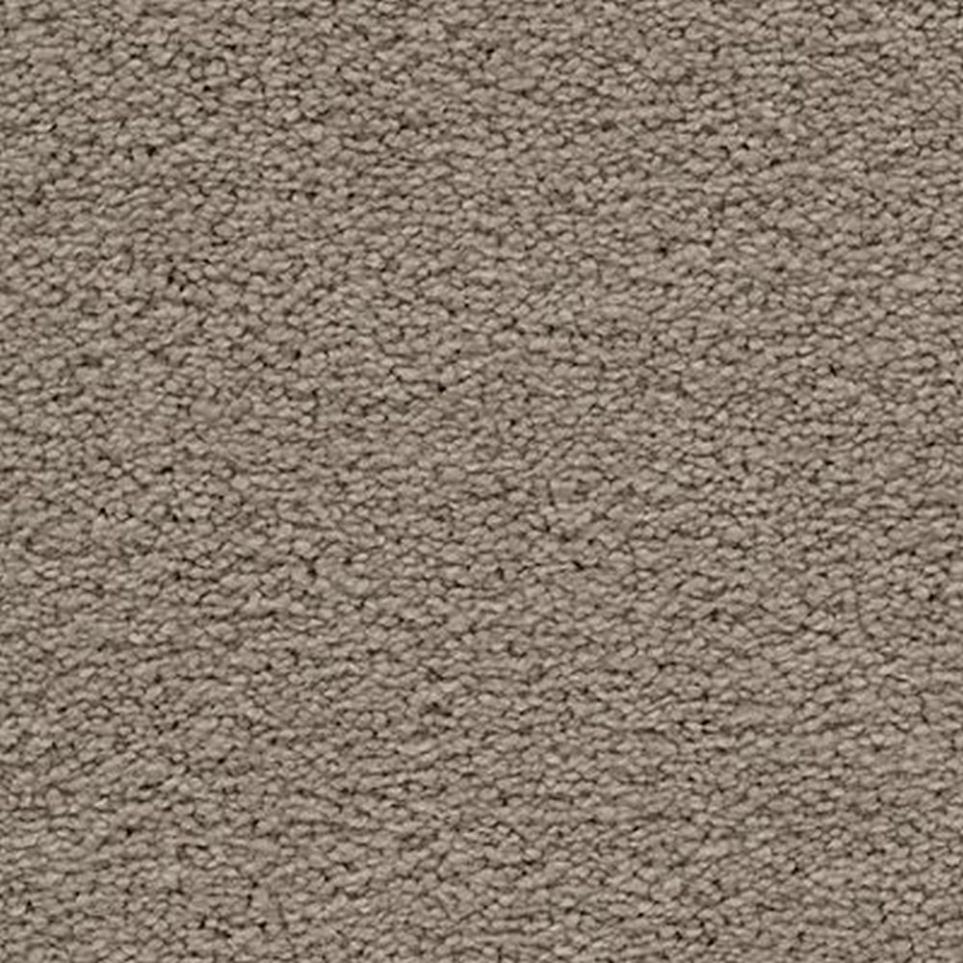 Textured Saxony Druid Brown Carpet
