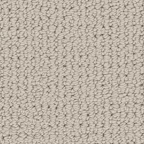 Loop Perfect Greige Beige/Tan Carpet