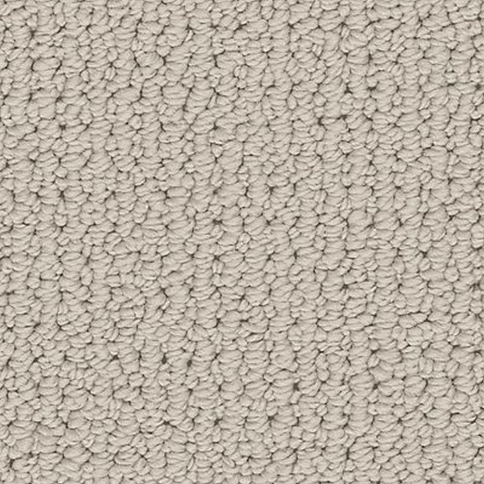 Loop Perfect Greige Beige/Tan Carpet