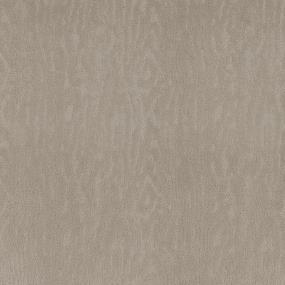 Pattern Warm Taupe White Carpet