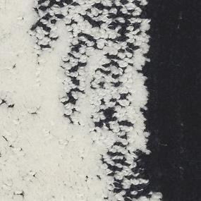 Pattern Amplified Black Carpet