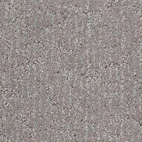 Pattern Einstein Gray Carpet