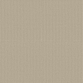 Loop City Loft Beige/Tan Carpet