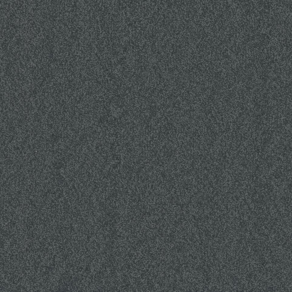 Casual Texture Golf Gray Carpet