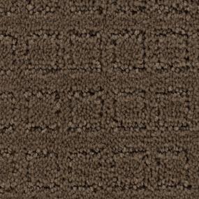 Pattern Desert Accents Brown Carpet