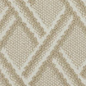 Loop Illusion Beige/Tan Carpet