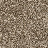 Textured Saxony Johnson Path Beige/Tan Carpet