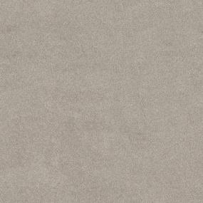 Texture Neutral Ground Gray Carpet