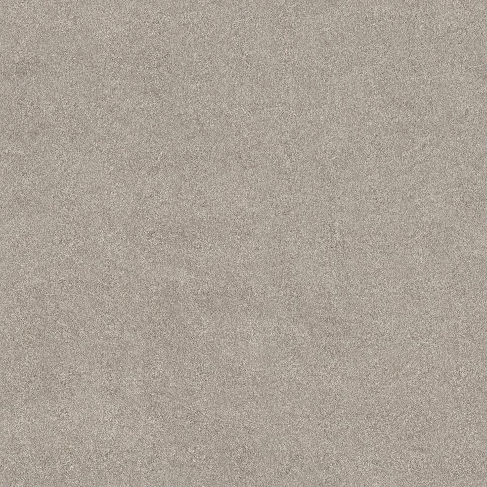 Texture Neutral Ground Gray Carpet
