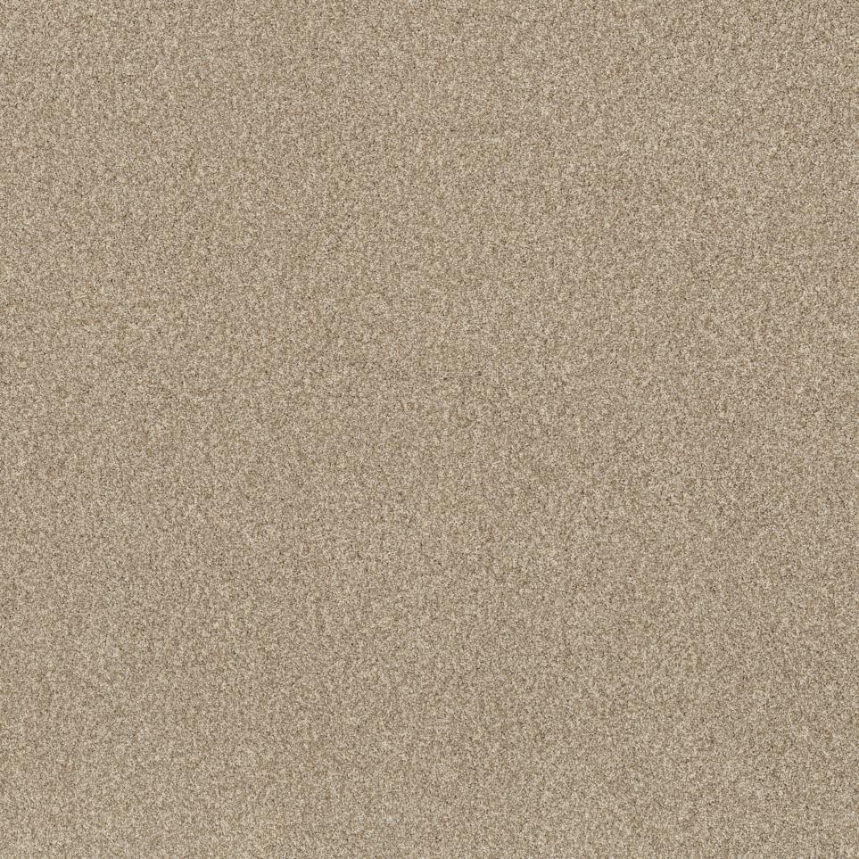 Casual Texture Oat Cake Beige/Tan Carpet