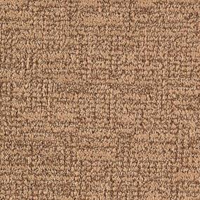 Pattern Cedar Shingles Beige/Tan Carpet