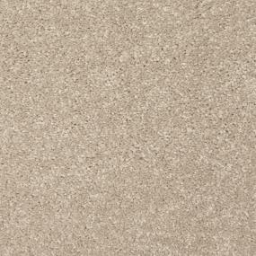 Textured Saxony Hushed Taupe Beige/Tan Carpet