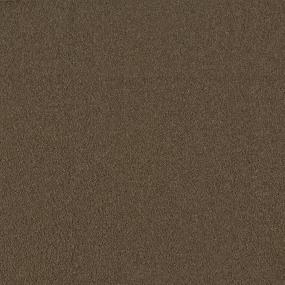 Textured Saxony Rumcake Brown Carpet