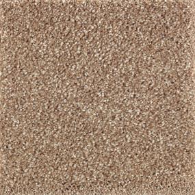 Textured Saxony Rumcake Brown Carpet