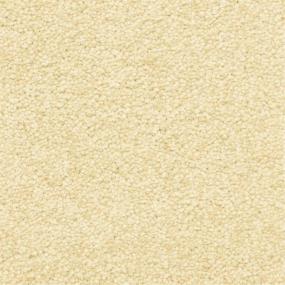 Casual Texture Desert Valley Beige/Tan Carpet