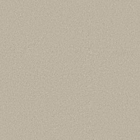 Texture Chateau Beige/Tan Carpet