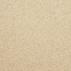 Casual Texture Rawhide Beige/Tan Carpet