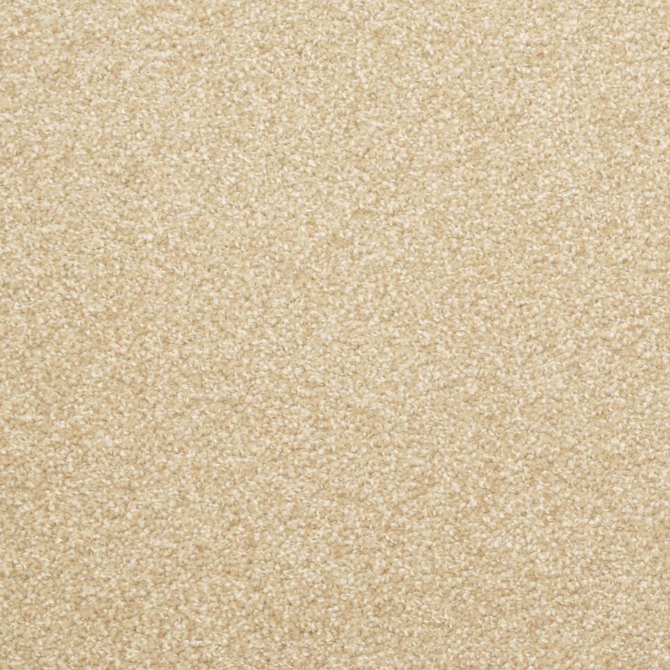 Casual Texture Rawhide Beige/Tan Carpet