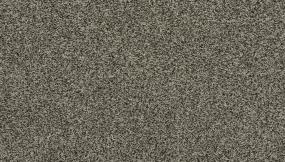Texture Mercury Gray Carpet
