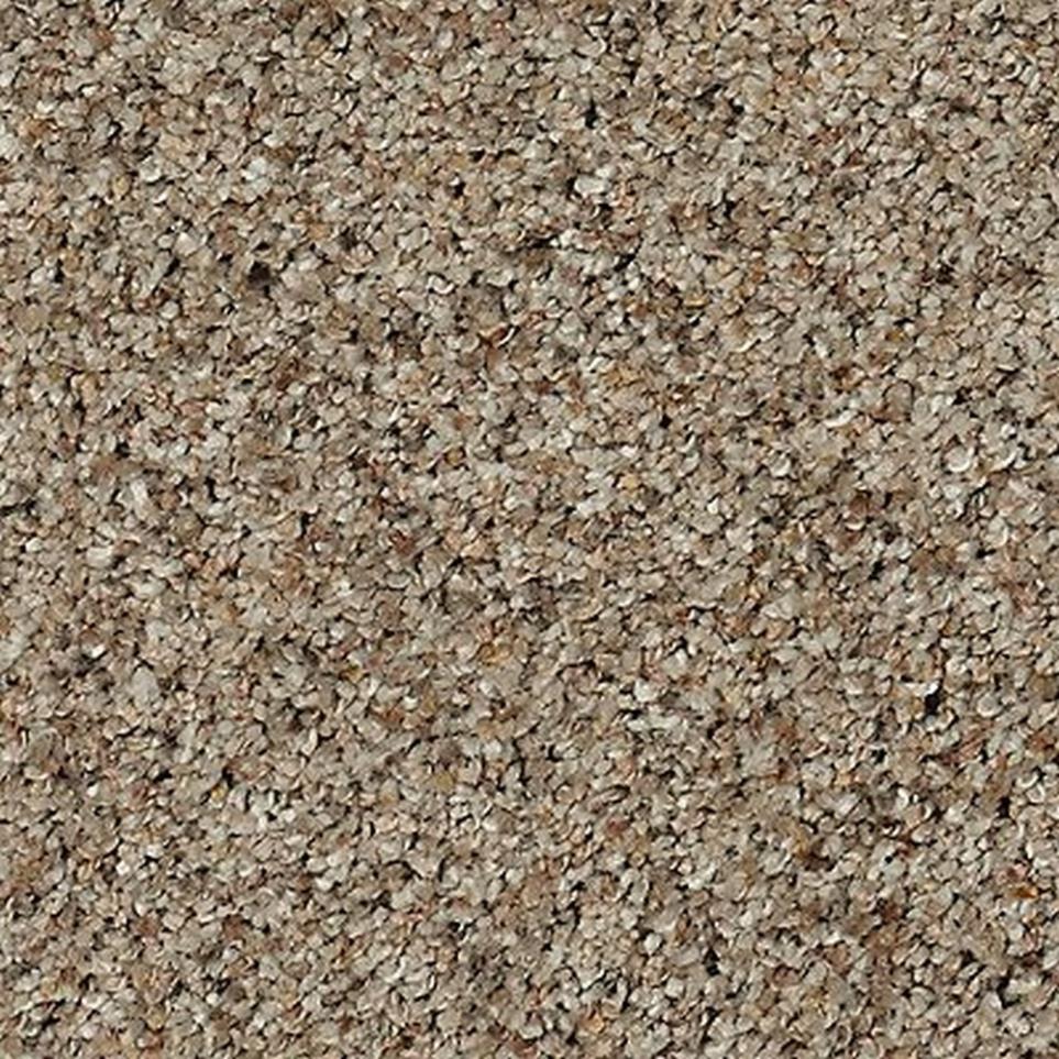 Textured Saxony Bashful Taupe Beige/Tan Carpet