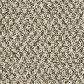 Pattern Basketry Beige/Tan Carpet