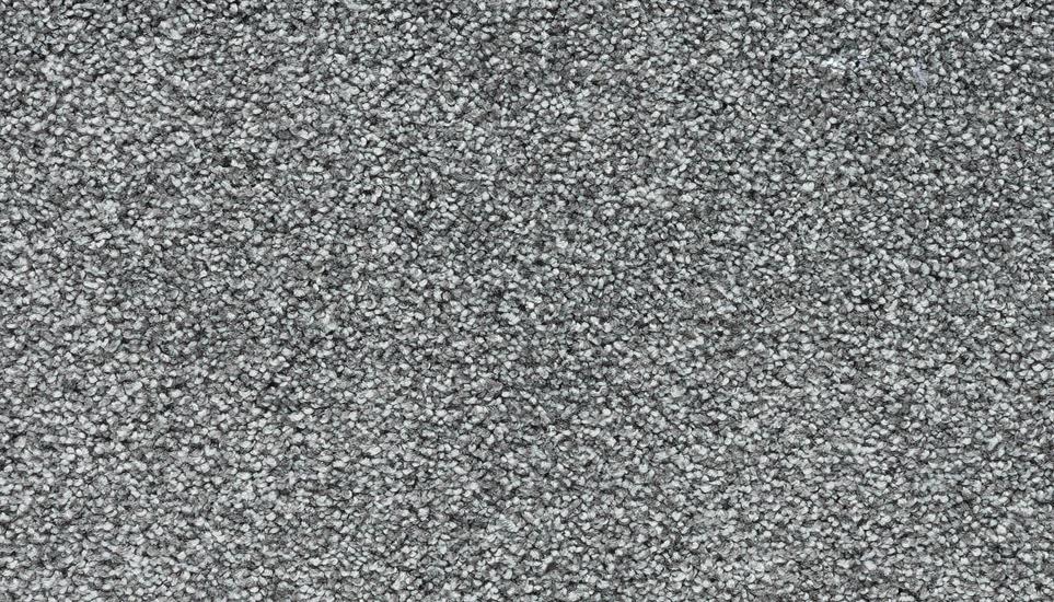 Textured Saxony Asphalt Gray Carpet