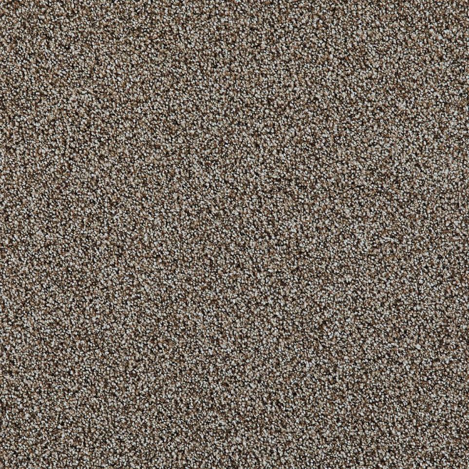 Textured Saxony Barrington Brown Carpet