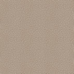 Textured Saxony Country Charm Beige/Tan Carpet