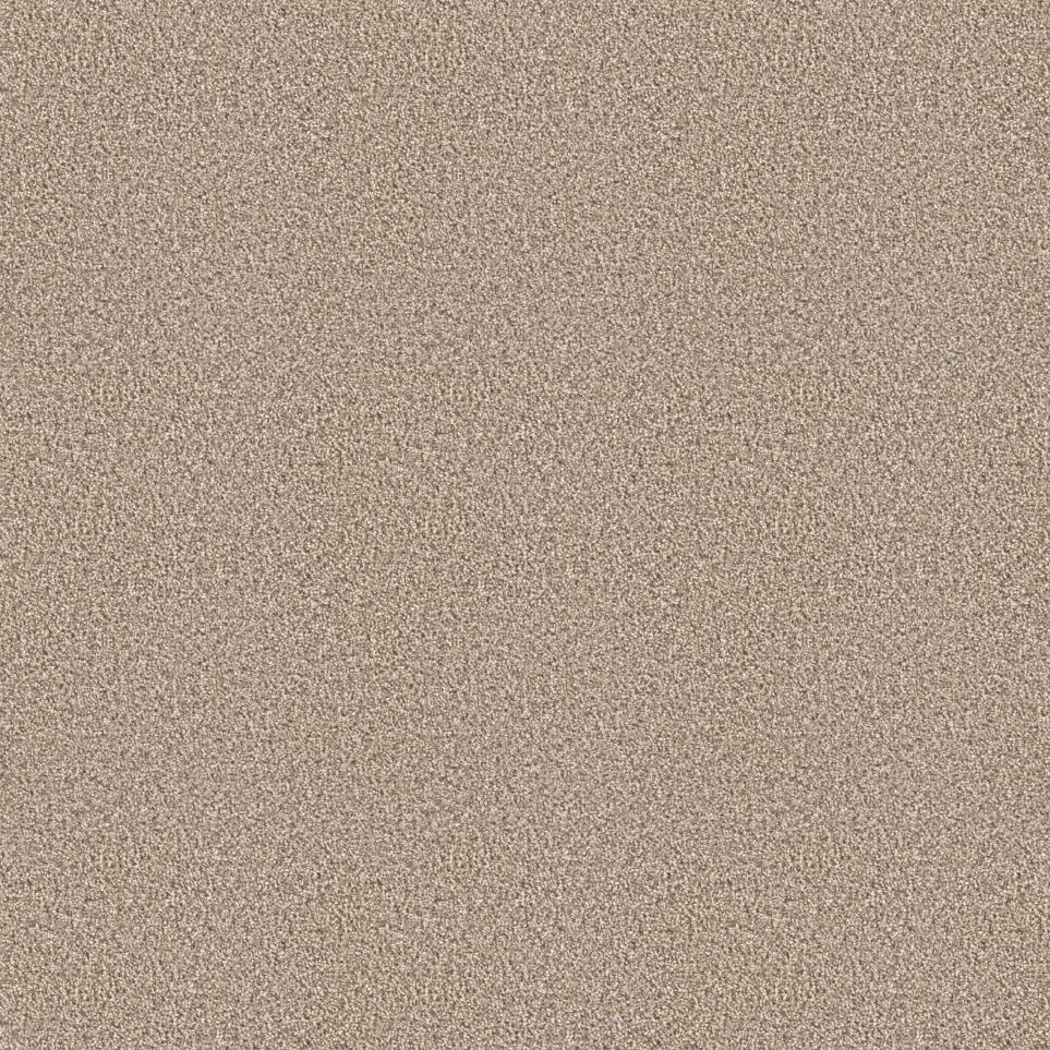 Texture Country Charm Beige/Tan Carpet