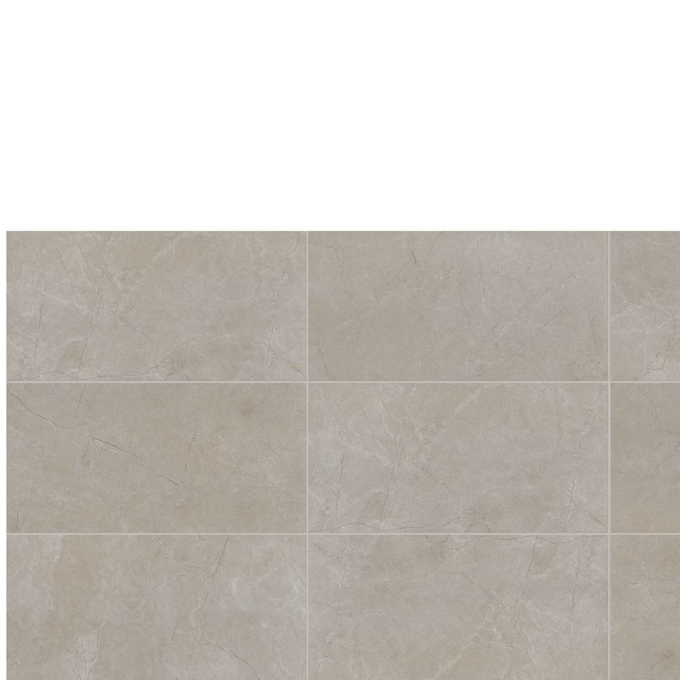 Tile Coliseum Gray Polished Gray Tile