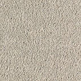 Textured Saxony Ashton Gray Carpet