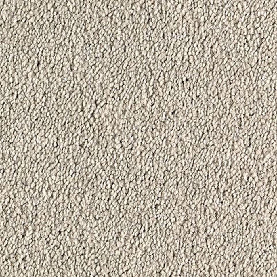 Textured Saxony Ashton Gray Carpet