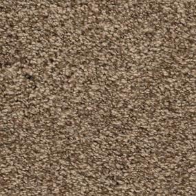 Textured Saxony After Glow Beige/Tan Carpet